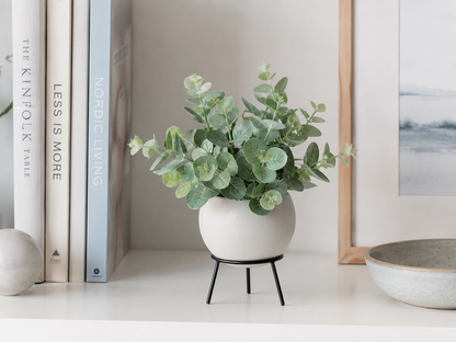 A small potted eucalyptus plant with round green leaves sits on a black metal stand on a white shelf, styled with books and a framed print in a minimalist interior setting.