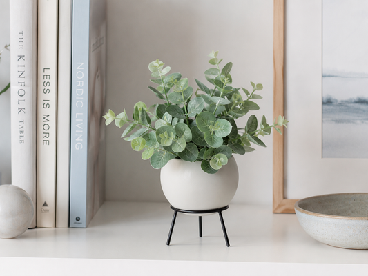 A small potted eucalyptus plant with round green leaves sits on a black metal stand on a white shelf, styled with books and a framed print in a minimalist interior setting.