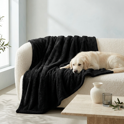 A cream-colored dog lies on a black plush throw blanket draped over a cream boucle sofa in a bright, modern living room.