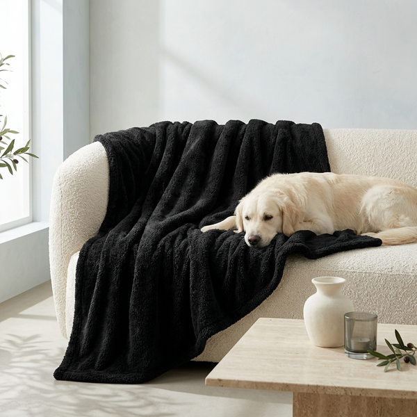 A cream-colored dog lies on a black plush throw blanket draped over a cream boucle sofa in a bright, modern living room.